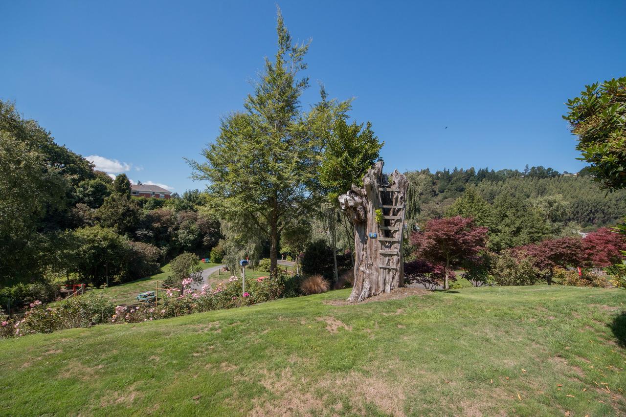 Aaron Lodge Holiday Park Dunedin Exteriér fotografie
